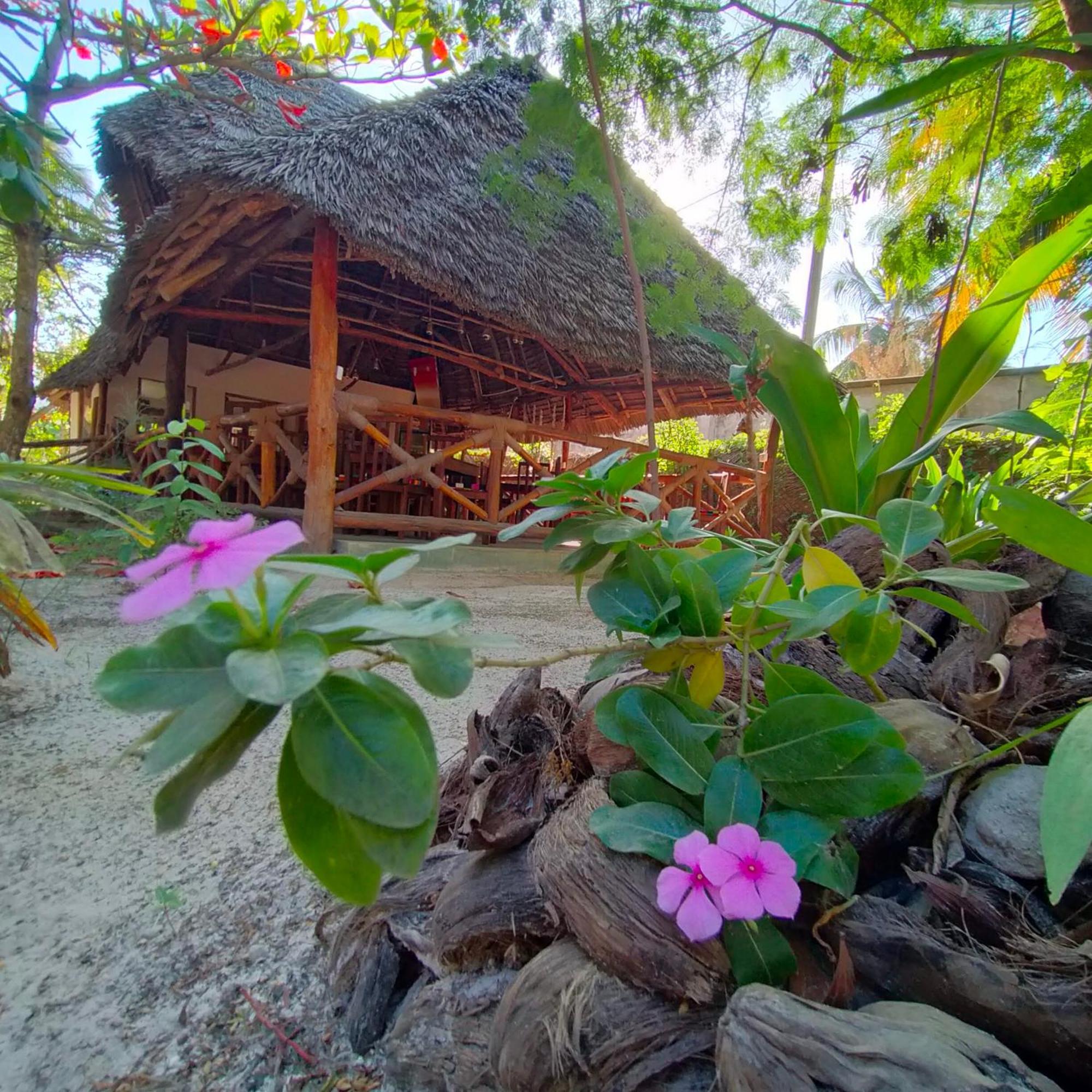 Eden Paradise Michamvi Kae Exterior photo